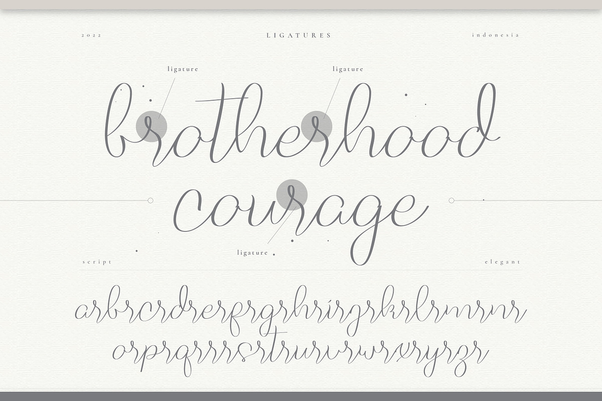 Five Liquor Script Handwritten, a Script Font by infernostudio3 (Photo 12 of 15)