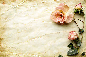 Vintage Paper Card with Rose, an Illustration by VetalStock