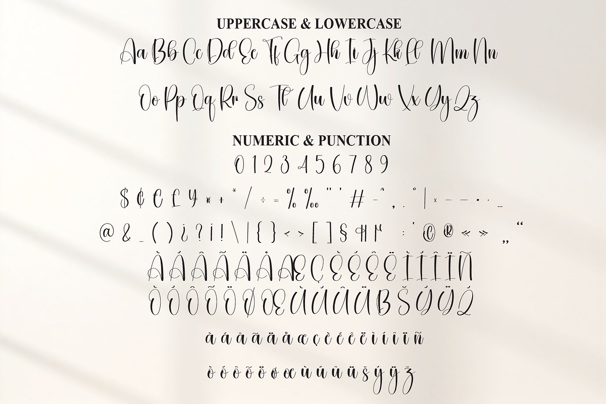 Dingbat | Script Font, a Handwritten Font by Scratchones (Photo 7 of 9)
