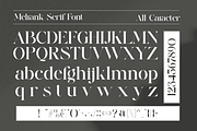 Melrank Elegant Serif Typeface, a Serif Font by Alfinart (Thumbnail 8 of 10)