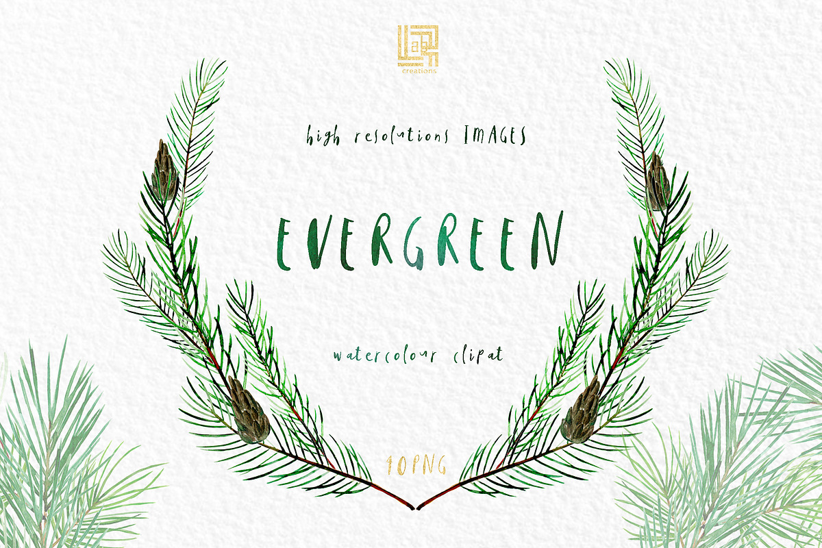 Pine. Watercolor clipart, an Illustration by LABFcreations (Photo 9 of 9)