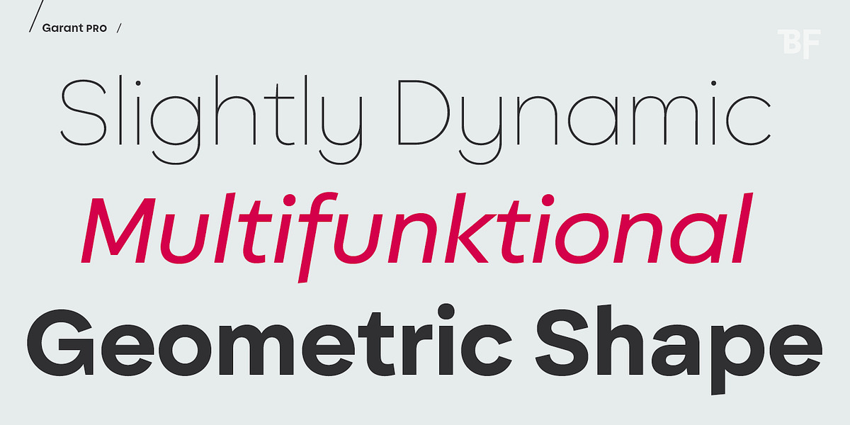 BF Garant Pro, a Sans Serif Font by BrassFonts (Photo 2 of 12)
