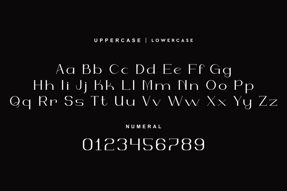 Hechowa - Elegant Fashion Font, a Serif Font by QR Design Studio (Photo 6 of 12)