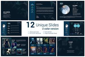 Professional CV PowerPoint Templates, a Presentation Template by MRI STUDIO