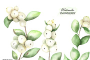 Watercolor snowberry clipart, an Illustration by OlDm_Shop (Thumbnail 6 of 11)