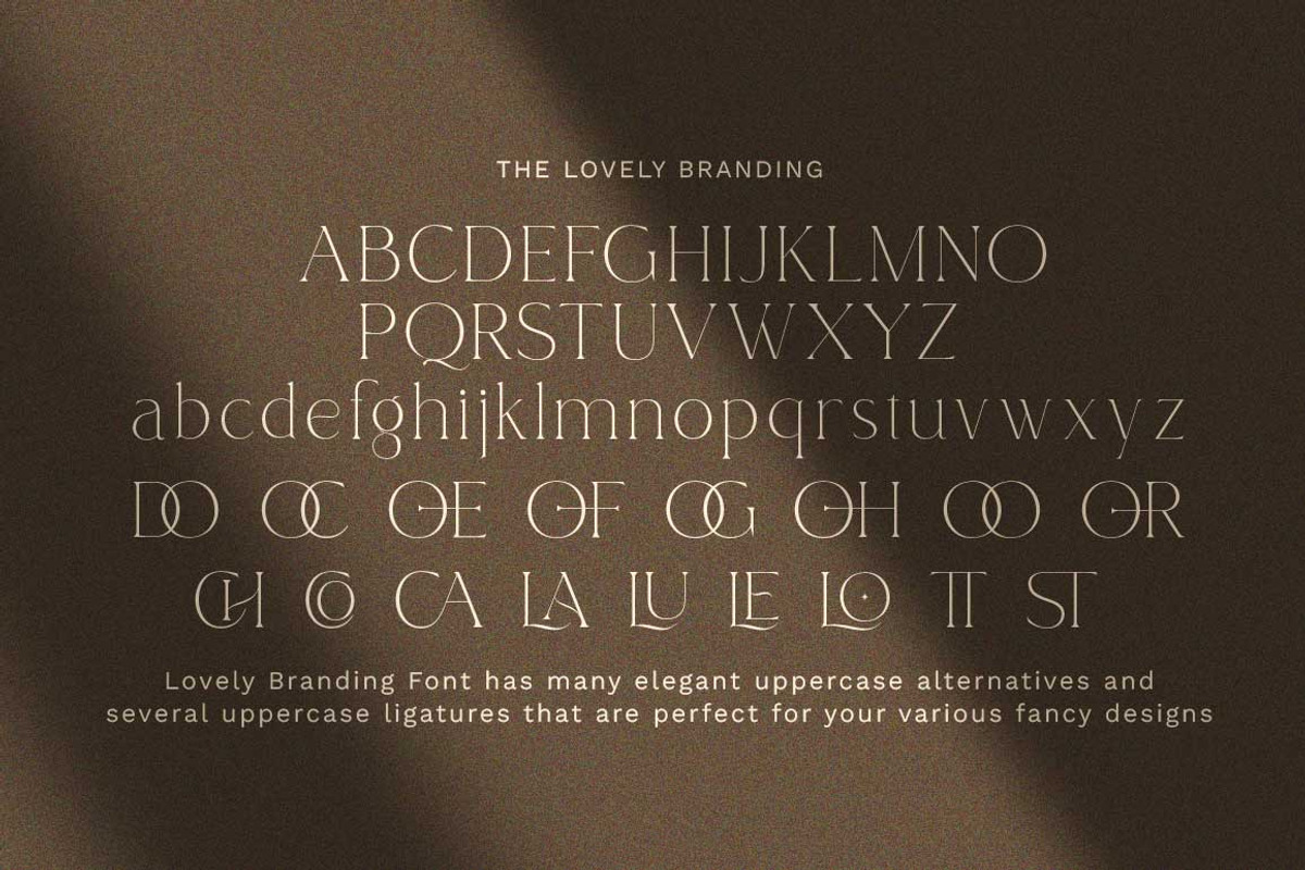 Lovely Branding, a Font by Lucky Type (Photo 17 of 18)