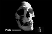 Halftone FX - PSD Press Effects, a Layer Style Add-On by Presetrain Co. (Thumbnail 8 of 8)