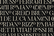 Netsera Calligraphic Serif Typeface, a Serif Font by SilverStag Type Foundry (Thumbnail 7 of 30)