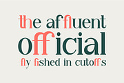 Qiba - Simple Serif Font, a Serif Font by Inspiratype (Thumbnail 6 of 12)