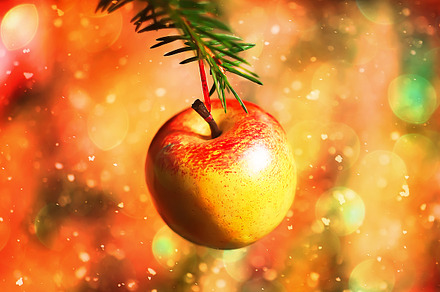 Merry Christmas Featuring Christmas Backgrounds And Red preview 3