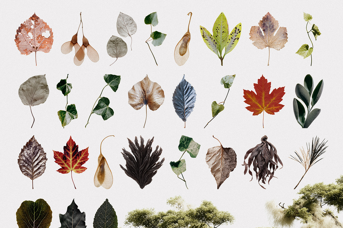 Hollow: Mystical Forest Collage Pack, an Object Graphic by Purple (Photo 10 of 13)