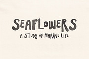 SeaFlower | Hand Drawn Surf Font, a Handwritten Font by Madeline ODonoghue Design (Thumbnail 10 of 12)