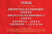 Terus - Blackletter Font, a Handwritten Font by Arendxstudio (Thumbnail 9 of 9)