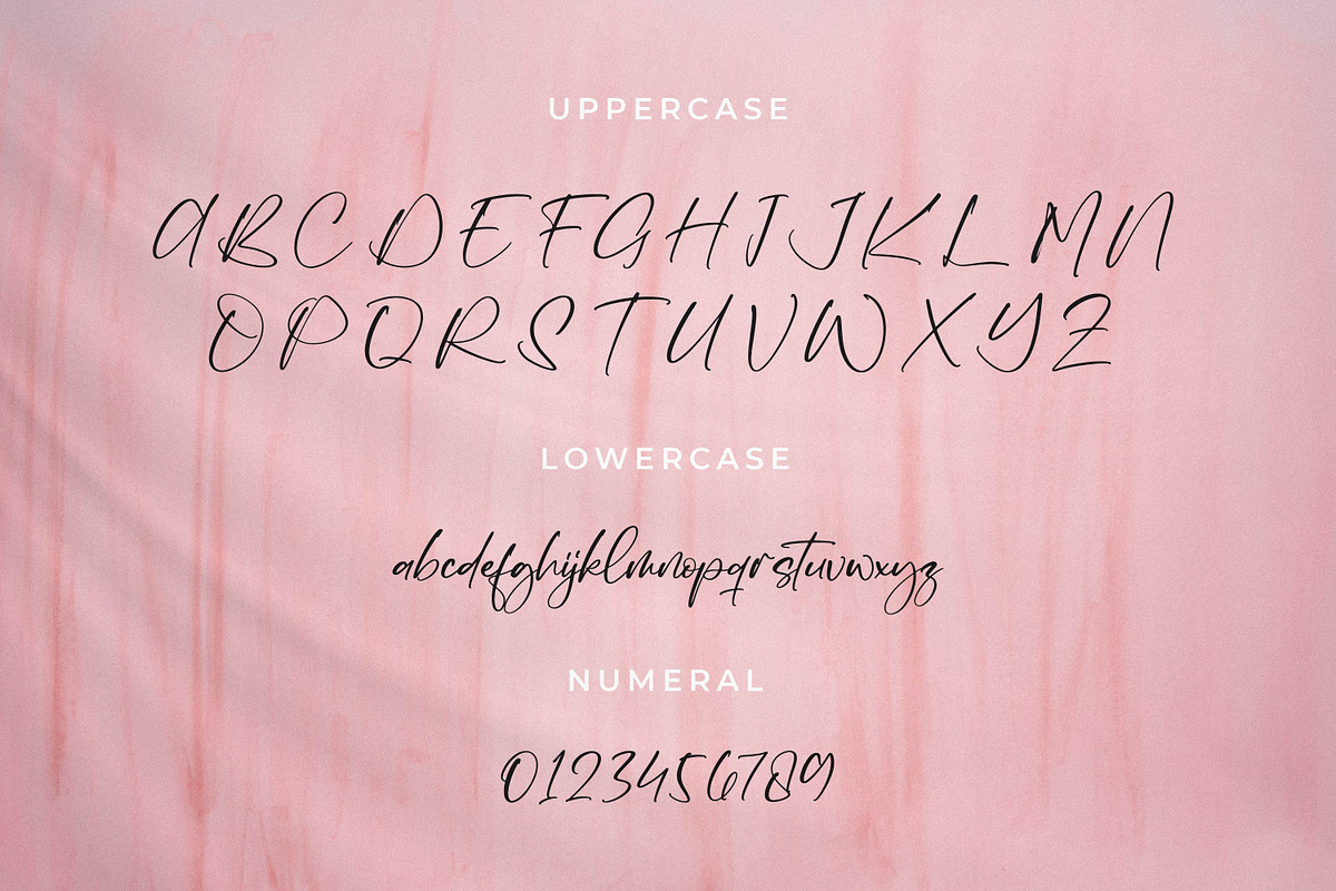 Quellany, a Handwritten Font by Integritype Studio (Photo 9 of 15)