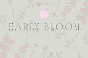 Botanical Background Collection, a Background Graphic by Anna Sokol (Thumbnail 1 of 14)