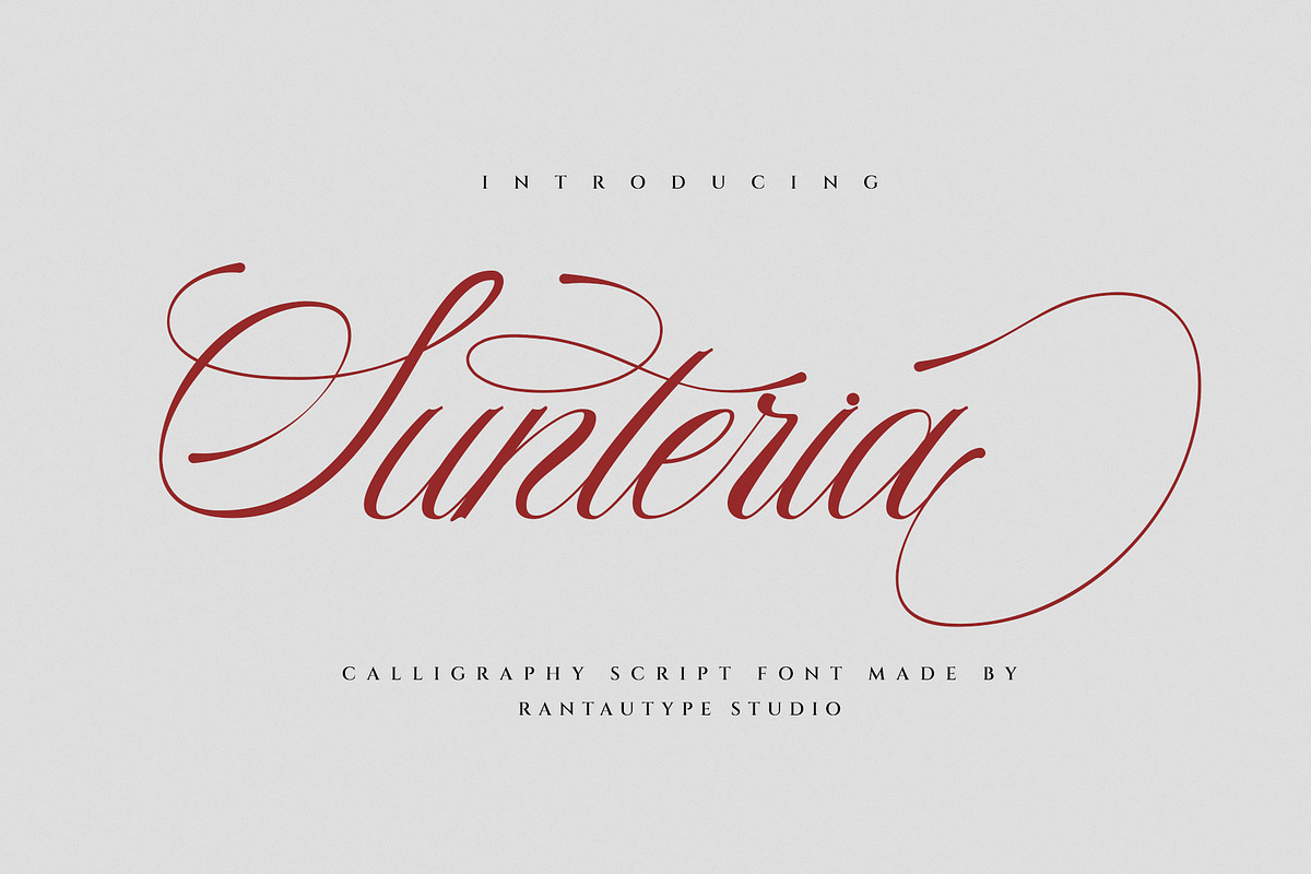 Rastrina Calligraphy Script Font, a Script Font by RantautypeStudio (Photo 2 of 16)