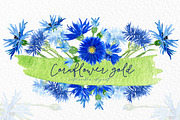 Cornflower gold. Watercolor clipart., an Illustration by LABFcreations (Thumbnail 4 of 4)