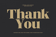 Serifine, a Serif Font by graphicook (Thumbnail 10 of 10)