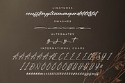 Hanfiye Guesterya Font Duo, a Serif Font by Storytype Studio (Thumbnail 12 of 15)
