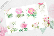 Roses & Blooms, a Pattern Graphic by TSTUDIO (Thumbnail 6 of 9)