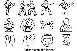 Martial arts vector illustration, a Sport Illustration by ZinetroN