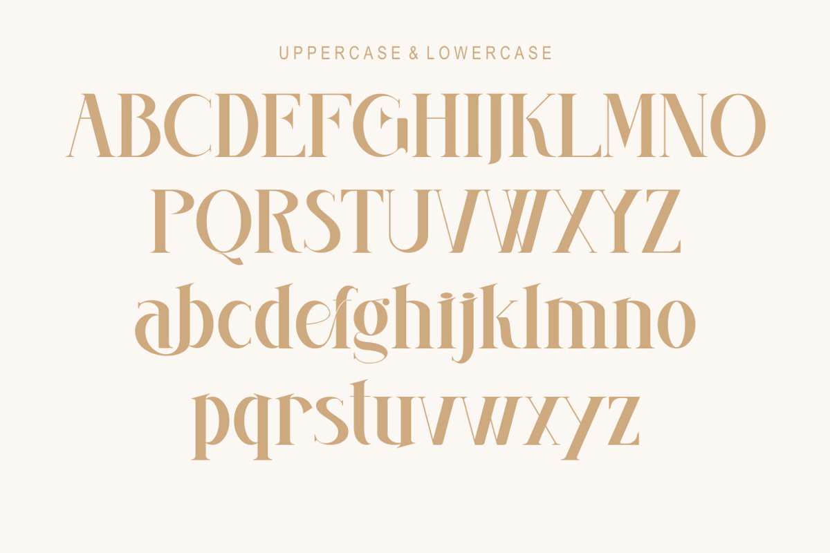 Evaida, a Serif Font by Kenrichi (Photo 8 of 11)