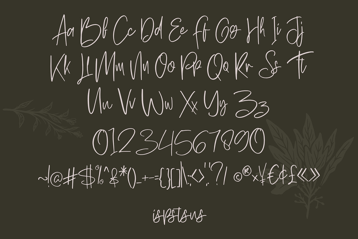 Hawkins park, a Script Font by LetterStock (Photo 6 of 6)