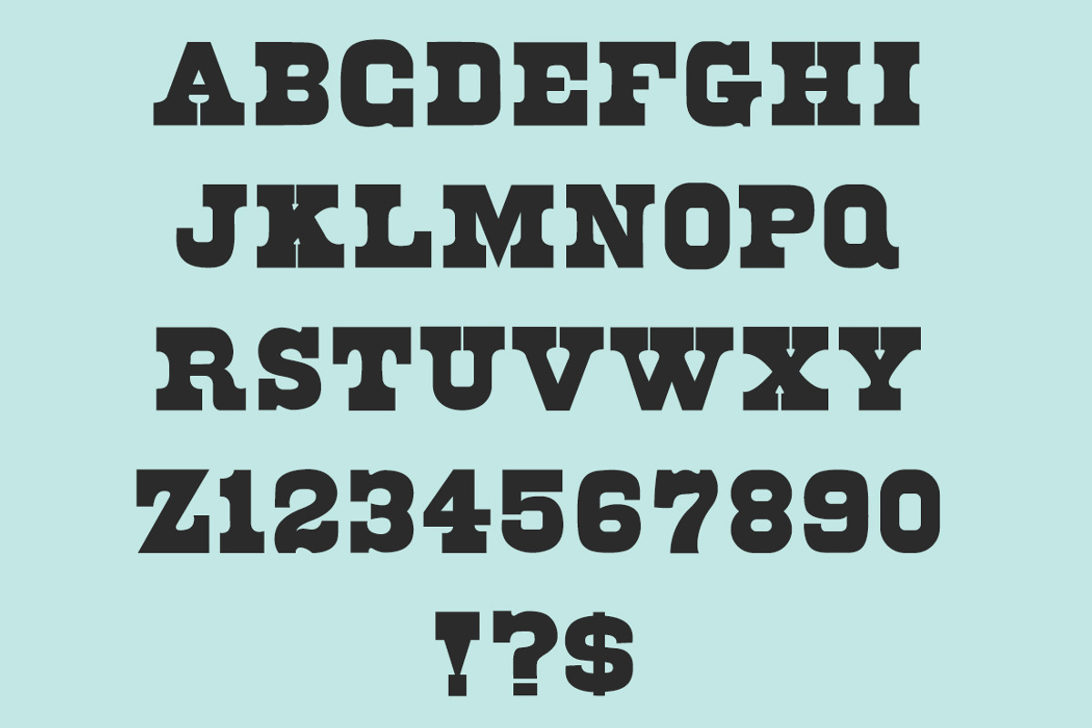 Ohio - Wood Type Typeface preview 3