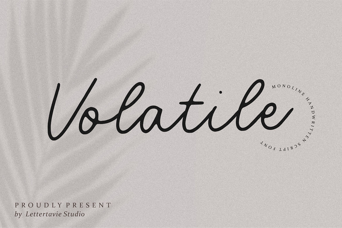 Volatile - Monoline Script Font, a Script Font by Letterative Studio (Photo 1 of 7)
