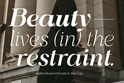 Shiffont Serif, a Serif Font by MasaType (Thumbnail 2 of 12)