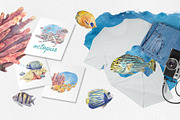 Coral Reef Watercolor Clipart, an Animal Illustration by Nastya Che (Thumbnail 7 of 14)