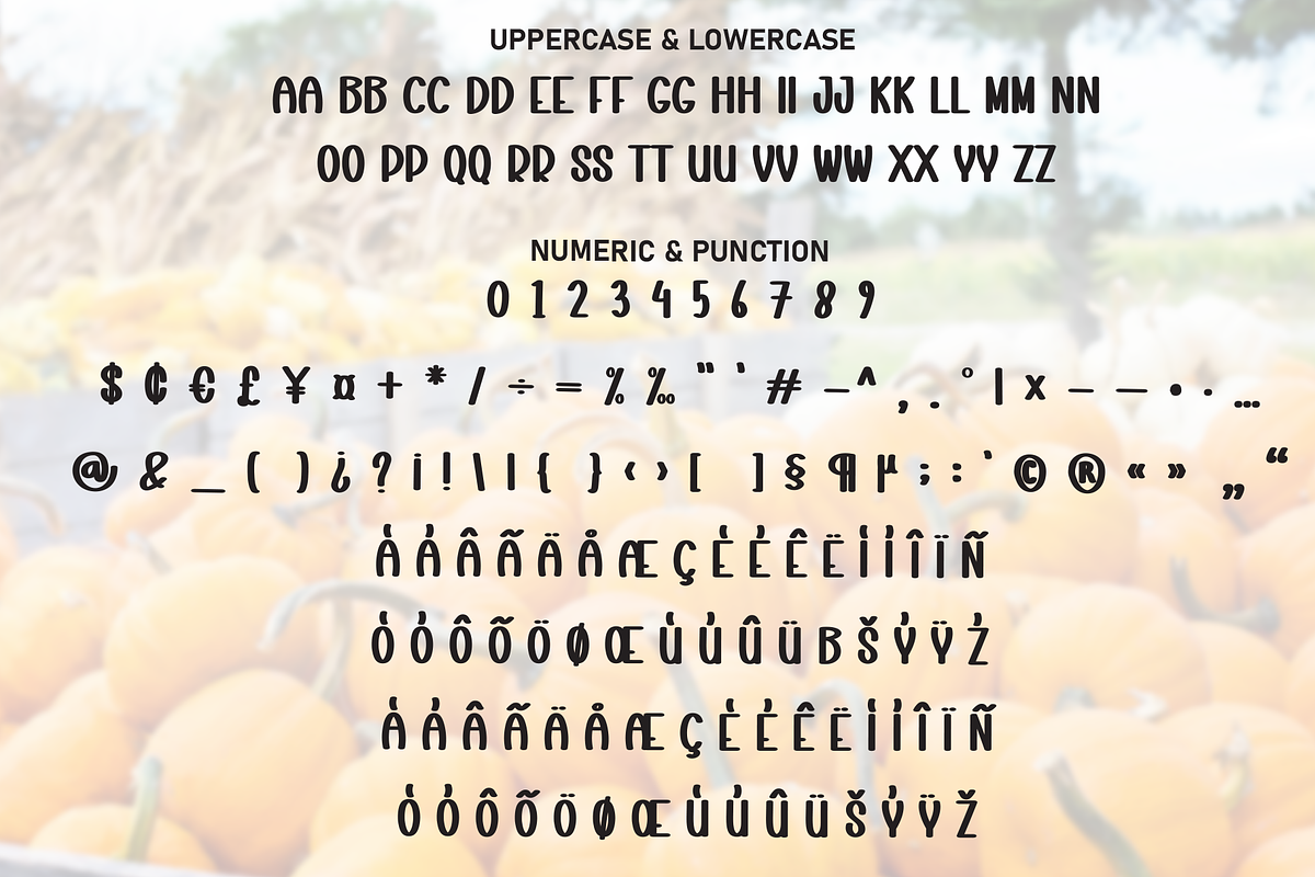 Pumpkin Farmhouse | Script Font, a Script Font by Scratchones (Photo 7 of 8)