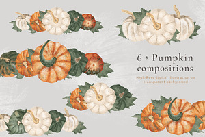 Pumpkin Harvest Illustration Set