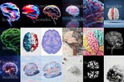 65 Human Brain Illustrations, an Object Graphic by Incomelion (Thumbnail 3 of 7)