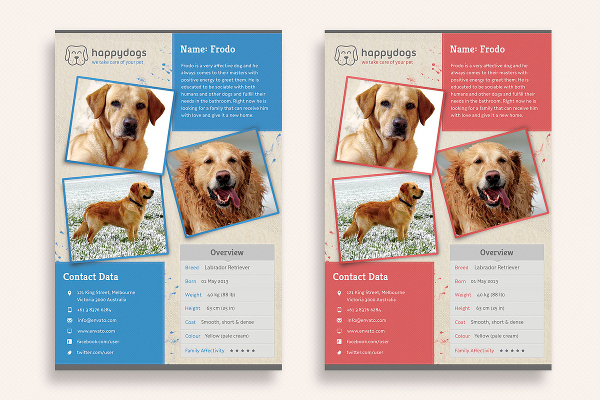 Pet Flyer Gallery, a Flyer Template by Sargatal (Photo 3 of 4)