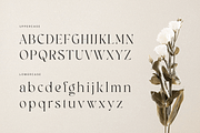 Bailey - Classy Luxury Logo Font, a Serif Font by Sensatype (Thumbnail 11 of 13)