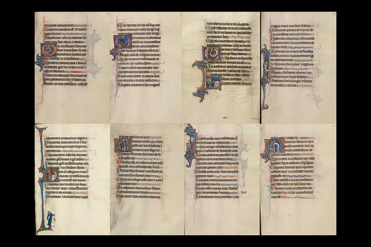 400+ lluminated Manuscripts Bundle, a Decorative Illustration by Digital Museum (Photo 9 of 11)