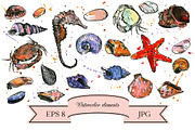 Seashells set, an Object Graphic by cat_arch_angel (Thumbnail 3 of 5)
