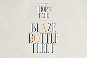 Thorn & Tale – A Refined Serif Font, a Serif Font by VP Fonts (Thumbnail 28 of 30)