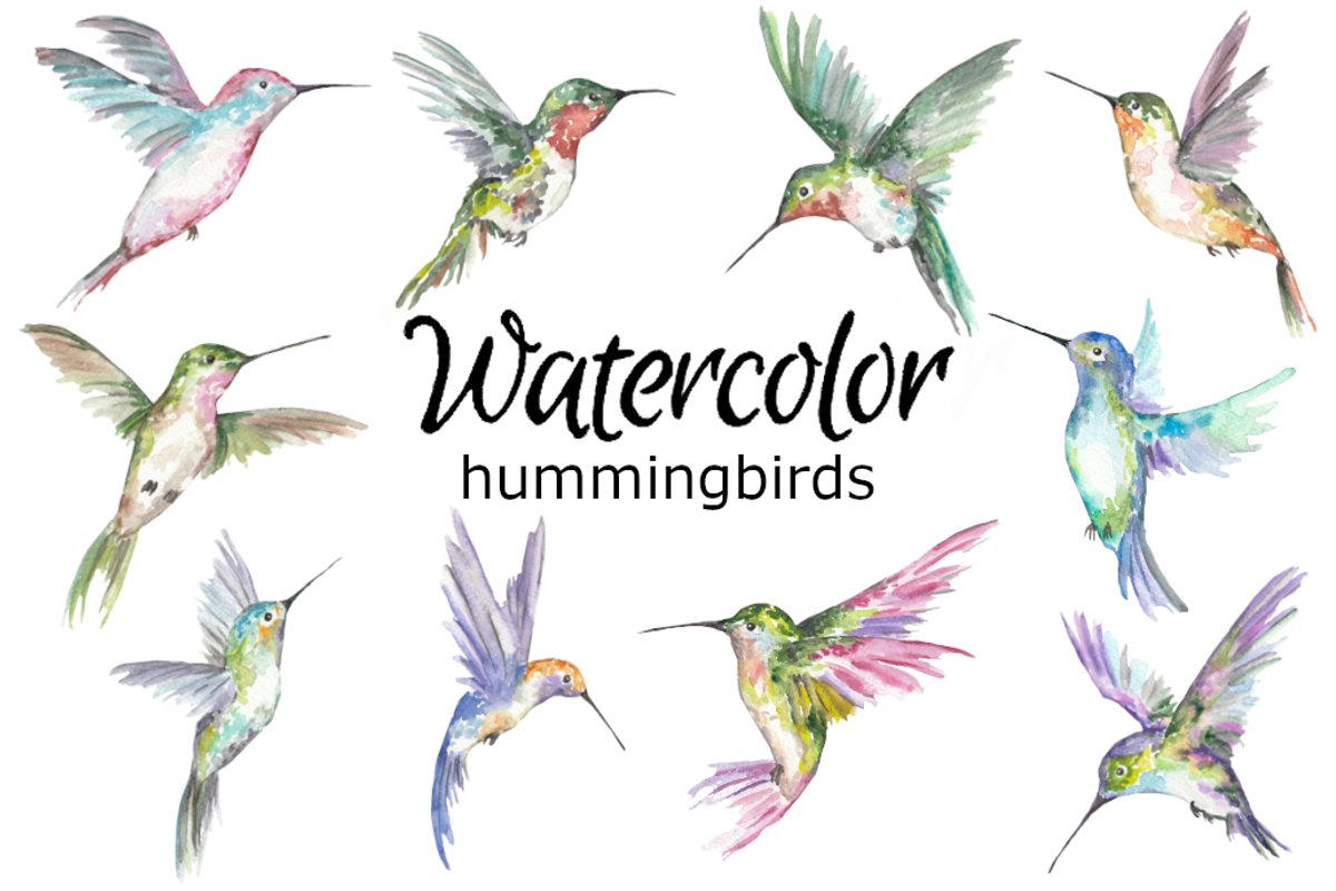 Hummingbird watercolor clipart, a Background Graphic by GoodFairyClipArt (Photo 1 of 2)
