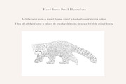 Red Panda Illustration – PNG, an Animal Illustration by LaurenFittonIllustration (Thumbnail 6 of 7)