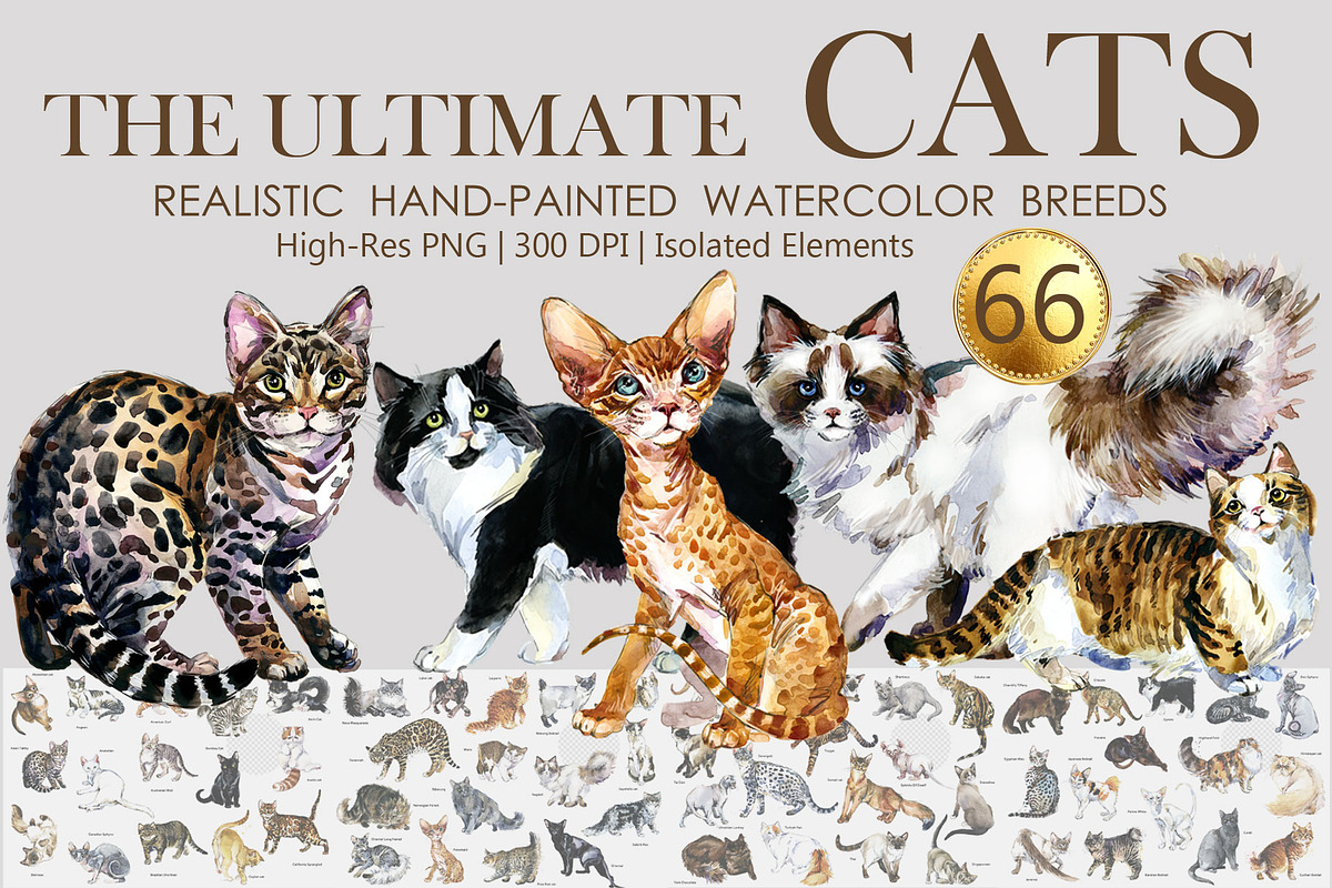 Pedigree Cats Watercolor Set, an Animal Illustration by FineArt (Photo 1 of 9)