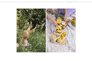 Summer Picnic | 24 Styled Photos, a Person Photo by Nina Stock Photos (Thumbnail 6 of 12)