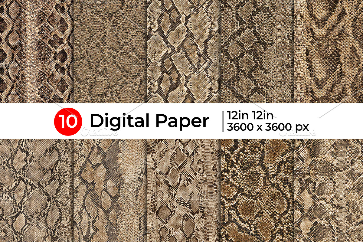 Realistic Snake Skin Patterns, a Pattern Graphic by Artonix (Photo 1 of 4)