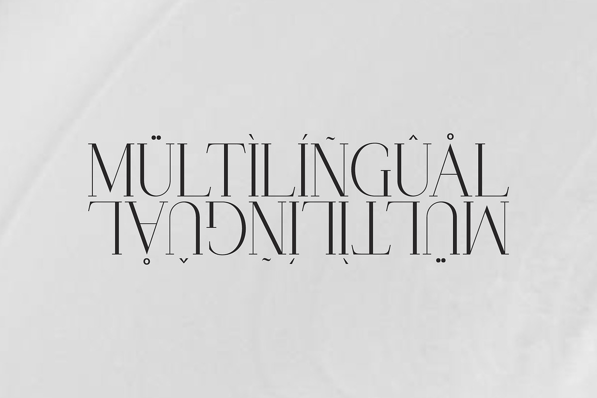 Chaltera | Modern Ligature Serif, a Serif Font by Typoraith Co (Photo 9 of 11)
