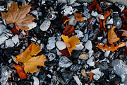 100+ New Hi-Res Autumn Photos, a Background Photo by moonloop (Thumbnail 10 of 13)