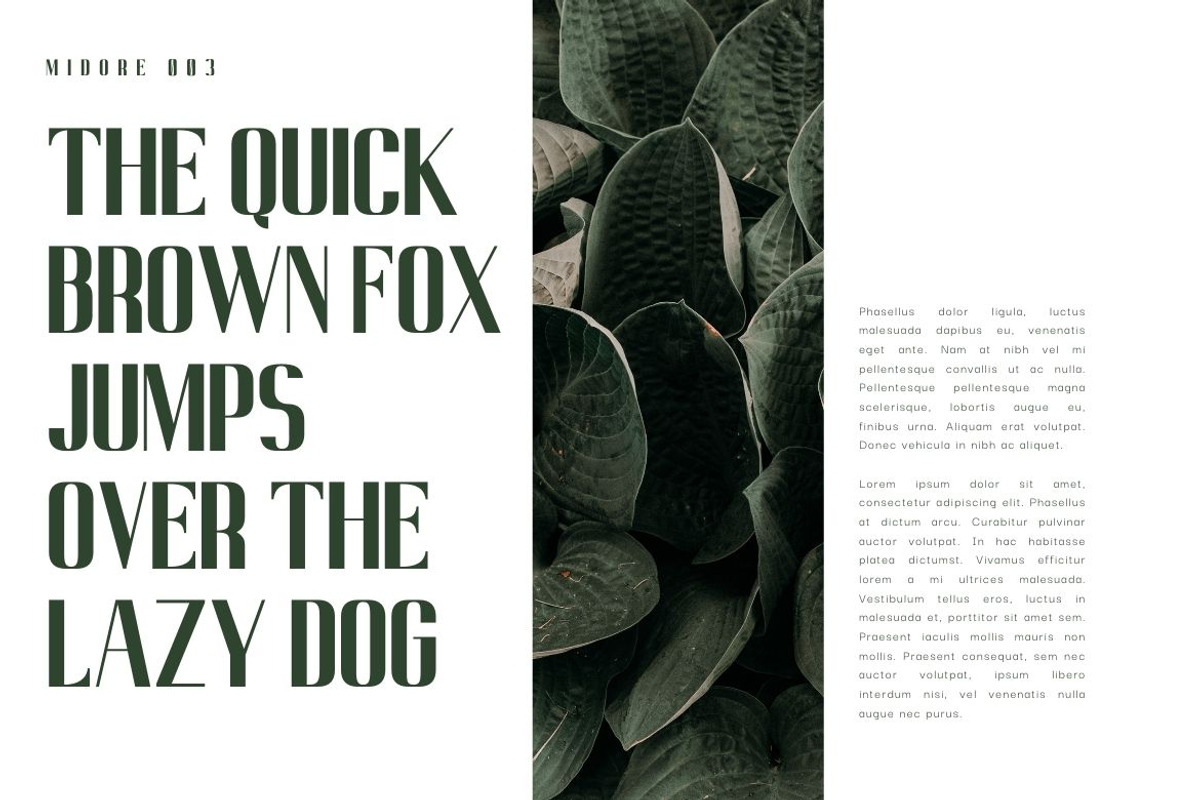 Midore - Modern Sans Font, a Sans Serif Font by Almeera Std (Photo 4 of 5)