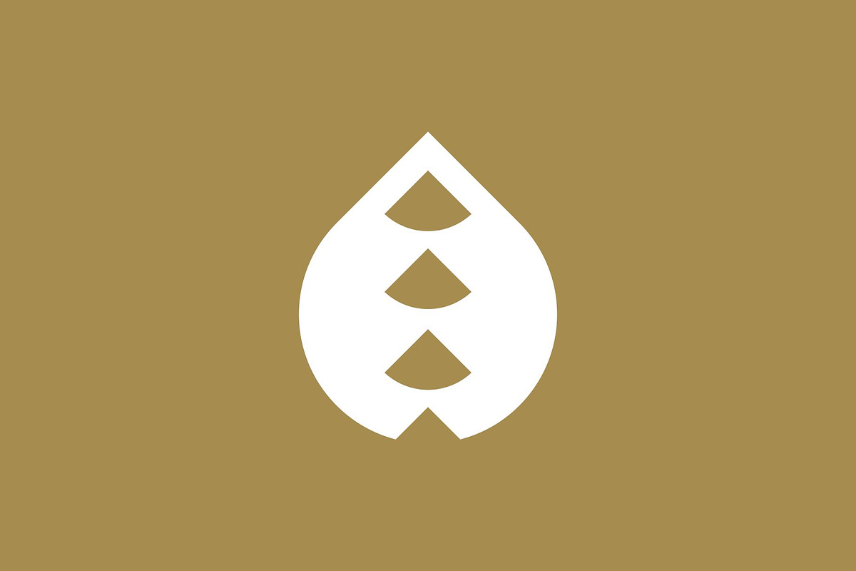 Droplet Logo, a Branding & Logo Template by Buqancreative (Photo 5 of 5)
