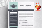 Resume/CV Bundle | 200+ for $29, a Resume Template by ResumeInventor (Thumbnail 47 of 207)