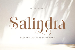 Salindra - Elegant Modern Serif Font